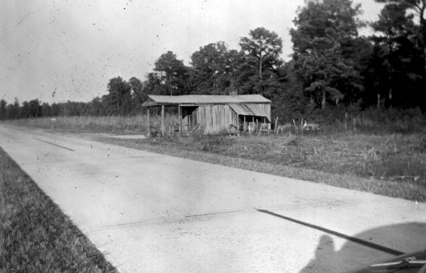 Ramshackeled store on the side of a Florida road