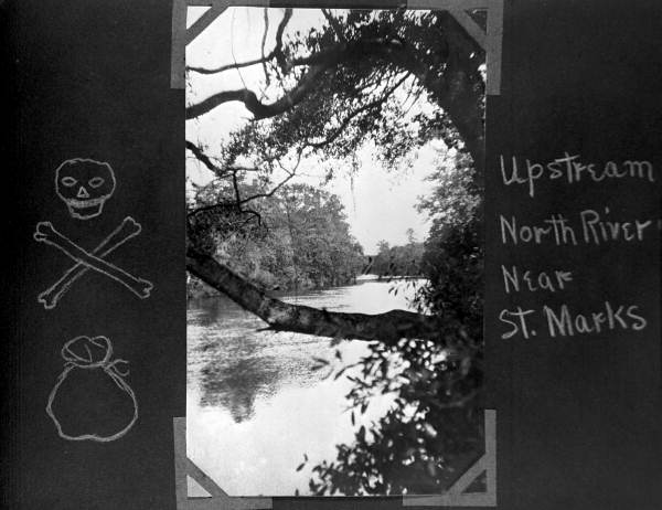 Upstream northern Saint Marks River