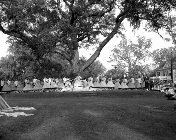 May Day celebration by large live oak tree in Lewis Park - Tallahassee, Florida