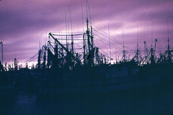 Fleet of shrimp boats as the sun sets over the Keys - Key West, Florida.