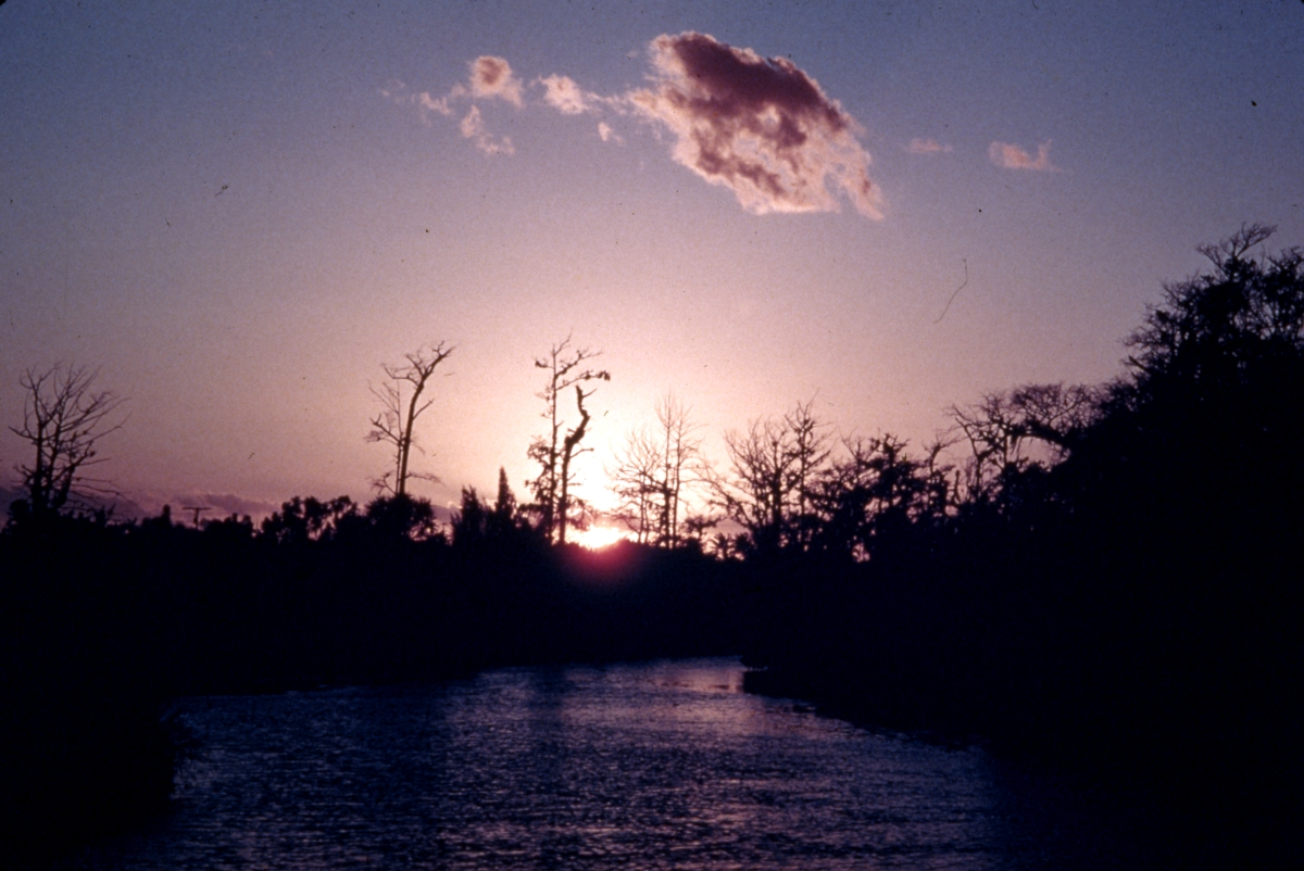 Sunset over the Everglades - Everglades, Florida.