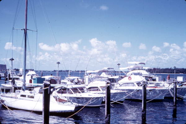 Sea fishing fleet moored out in the water - Miami Beach, Florida.
