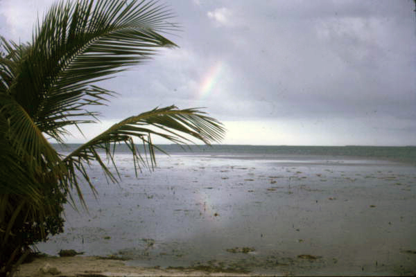 View of the sea