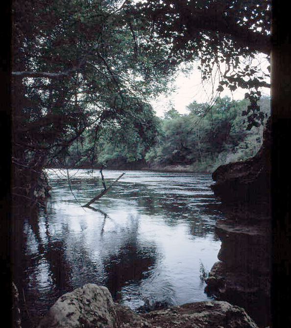 Suwannee River State Park