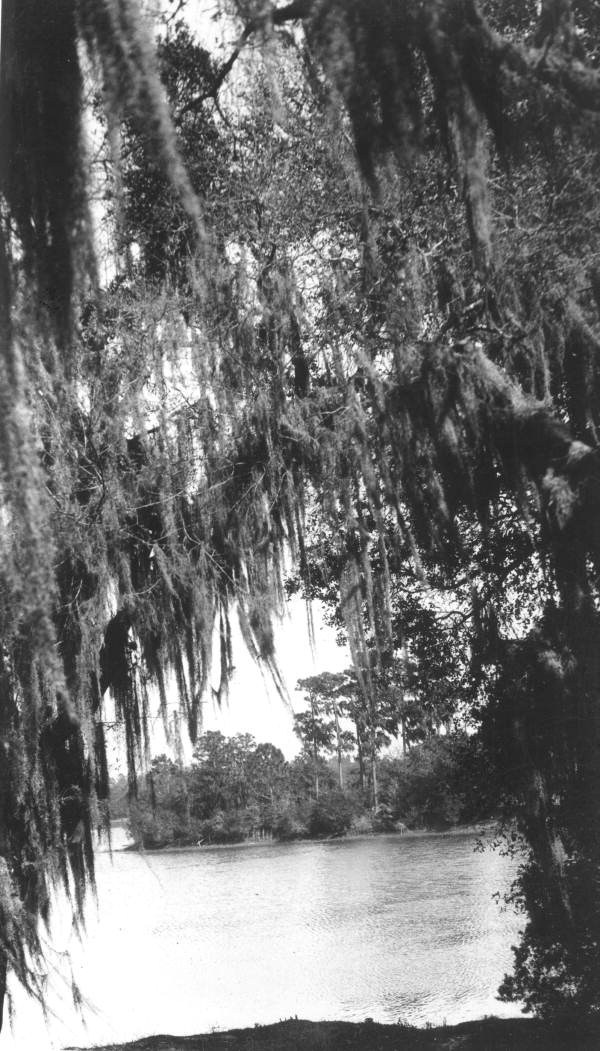 View of Lake Highland - Orlando, Florida