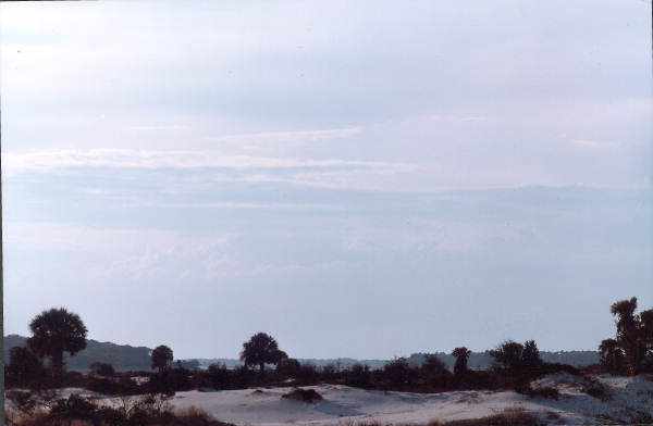 View of sand dunes - Little Talbot Island, Florida