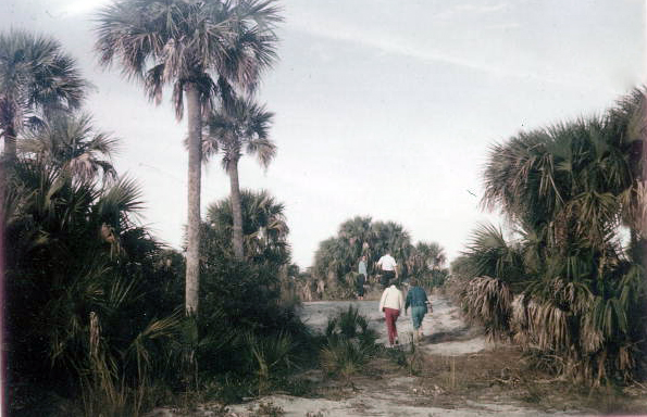 View looking towards people hiking on Cayo Costa island - Lee County, Florida.