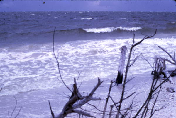 Close-up view showing waves at the seashore - Sarasota, Florida.