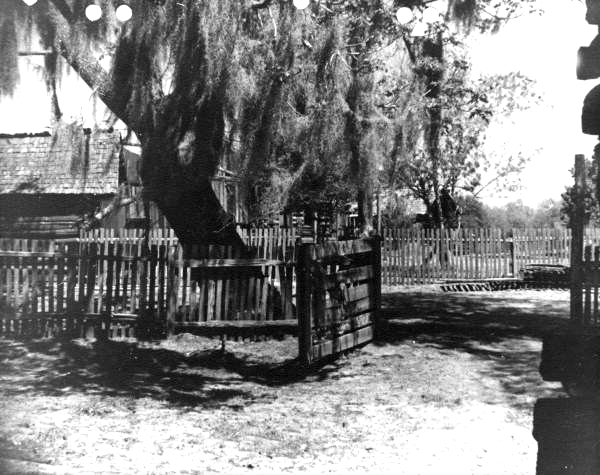 Farm buildings at Baxter home