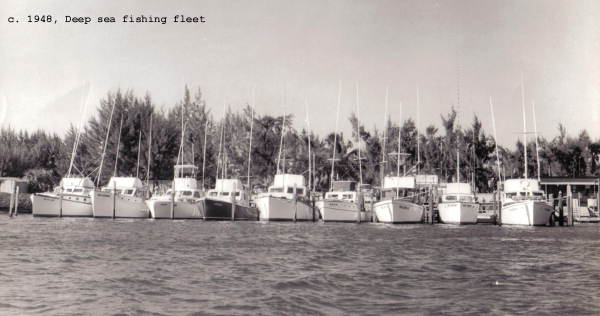 Deep sea fishing fleet..