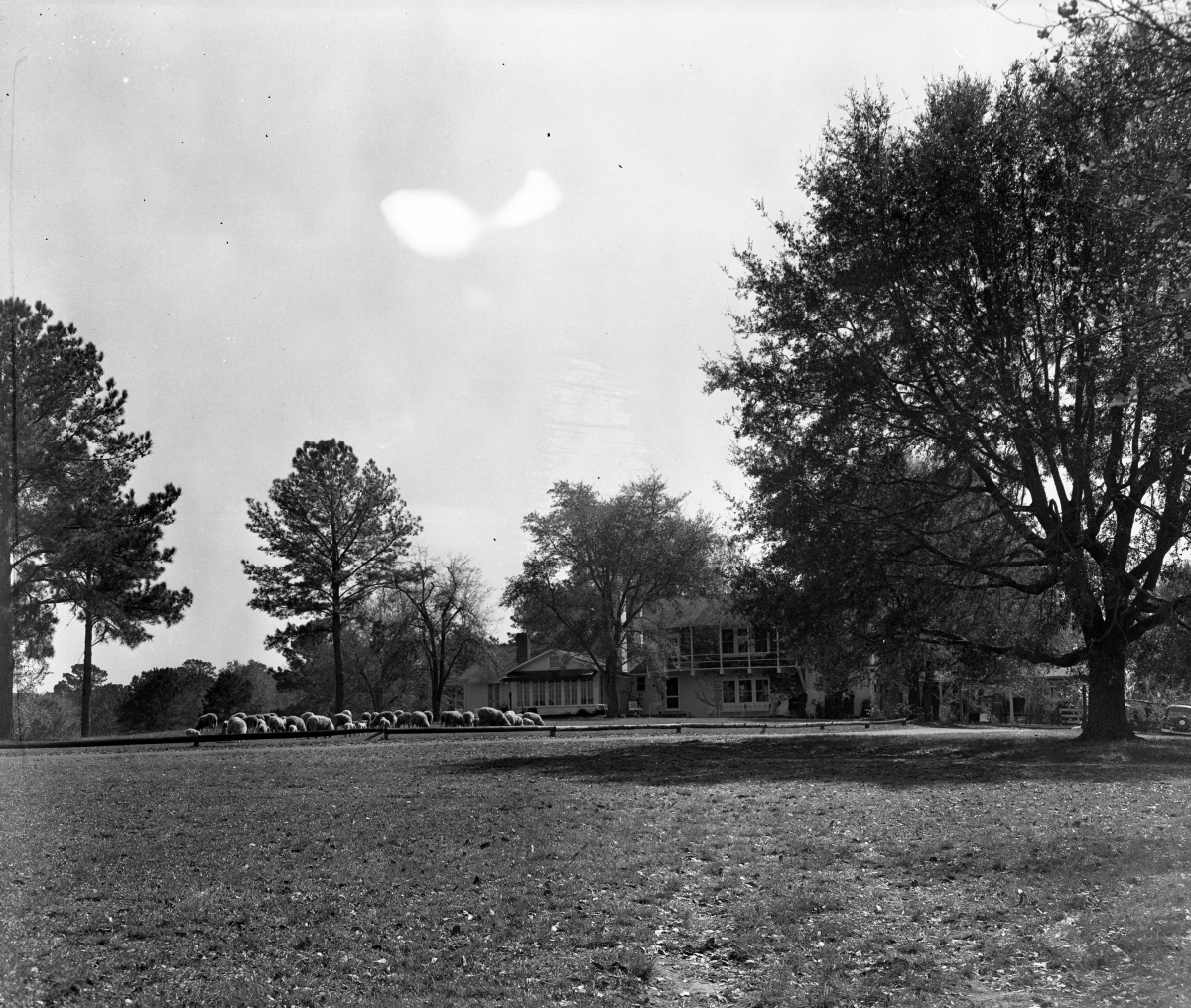 Plantation home on the "Tallahassee Trail".