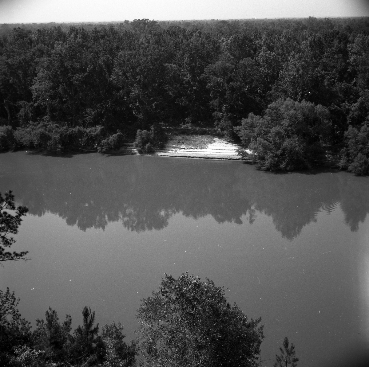 High bluff overlooking the Apalachicola River in the "Garden of Eden"
