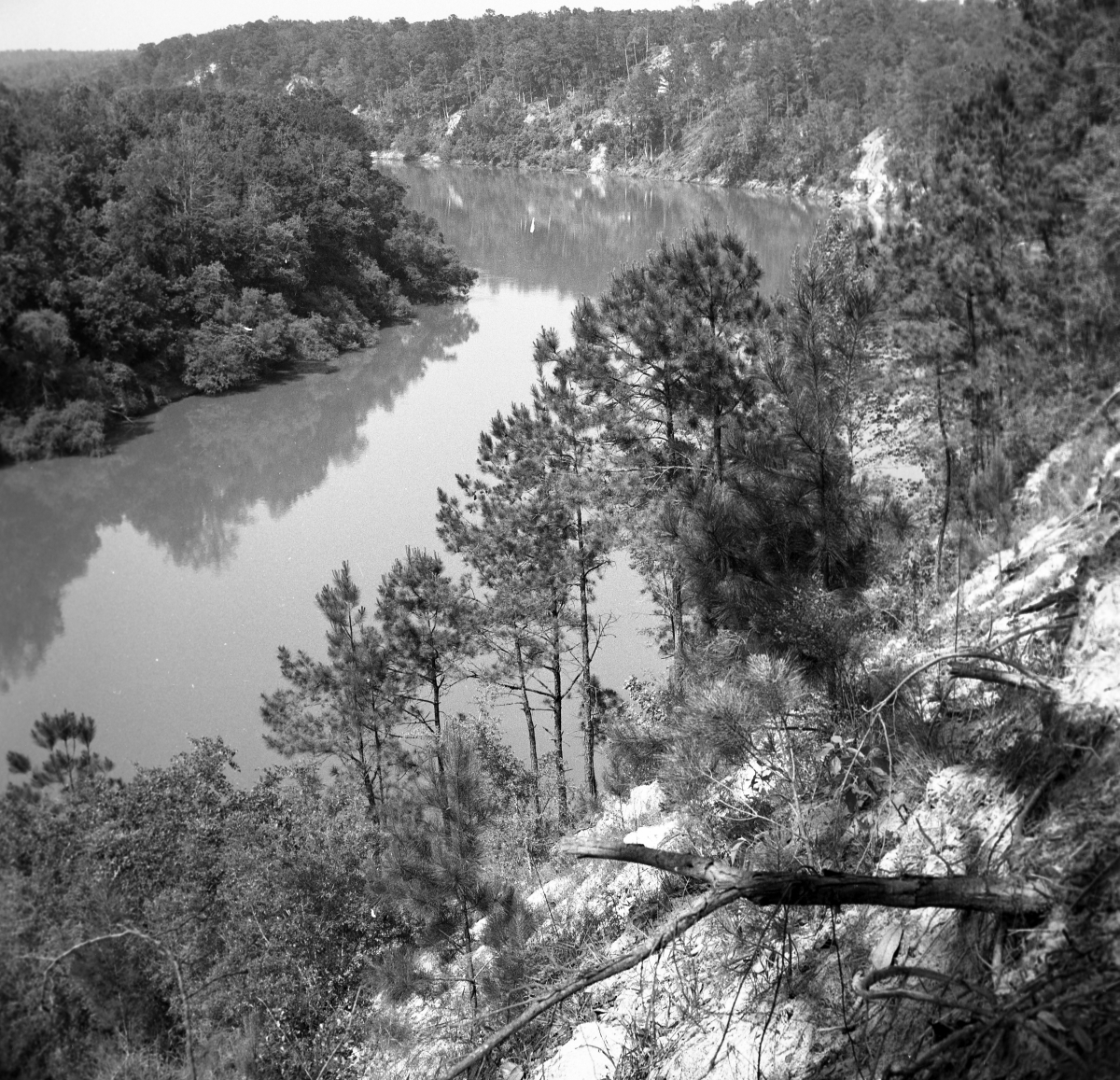 High bluff overlooking the Apalachicola River in the "Garden of Eden"