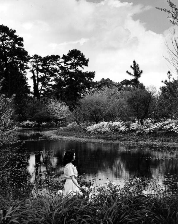 Visitor admiring the scenic view at Killearn Gardens - Tallahassee, Florida.