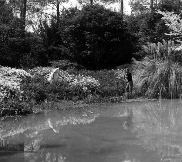 Woman posing among flowers for photographer at the Killearn Gardens State Park - Tallahassee, Florida.