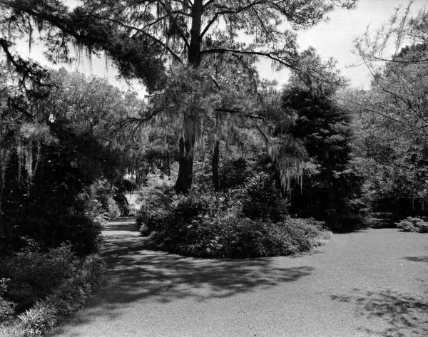 Scenic view at Killearn Gardens in Tallahassee, Florida.