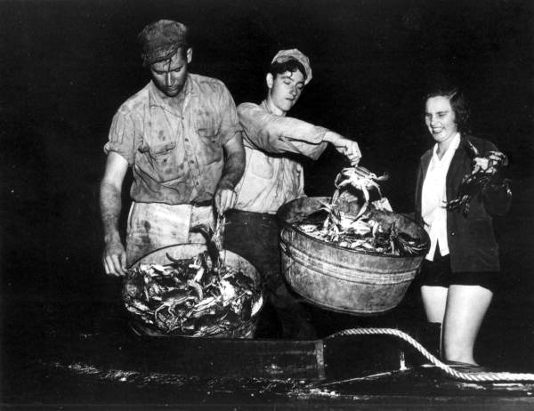 Unloading a commercial crab boat on the Ochlockonee River