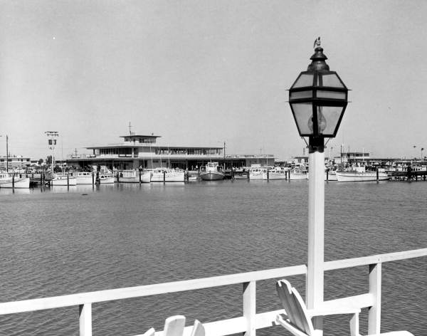 Marina - Clearwater, Florida