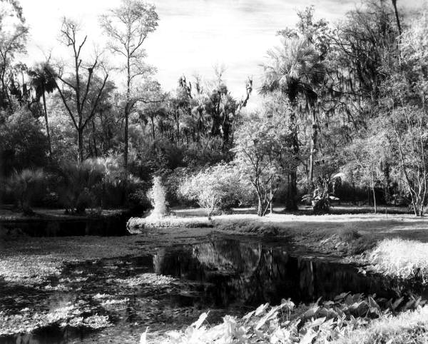 Scenic view of Sanlando Springs - Seminole County, Florida