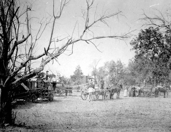 Harvesting equipment