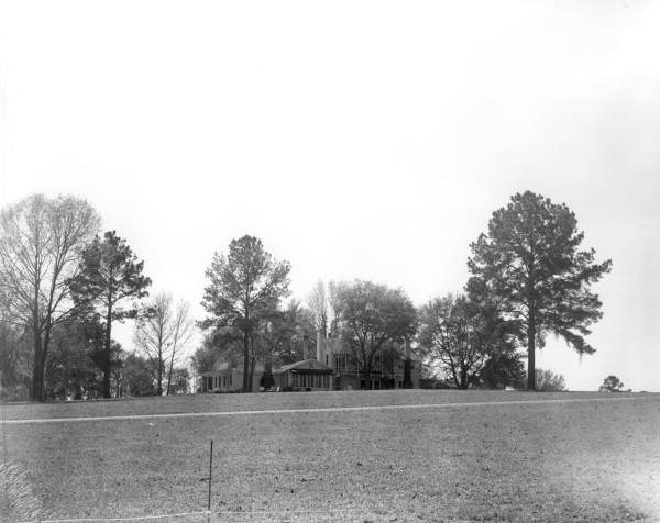 View of forest along the shore of Lake Bradford - Leon County, Florida