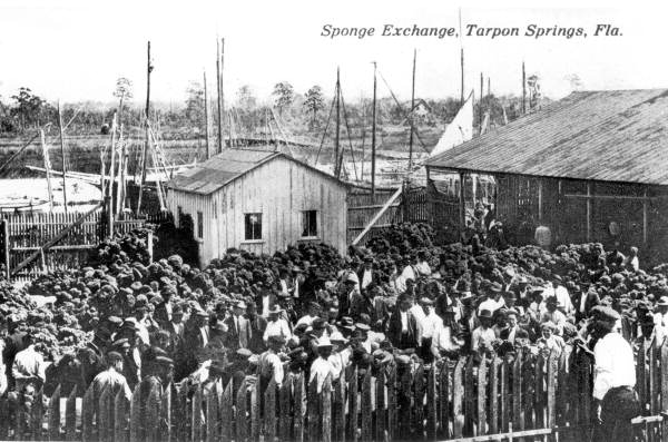 Sponge exchange, Tarpon Springs, Florida.