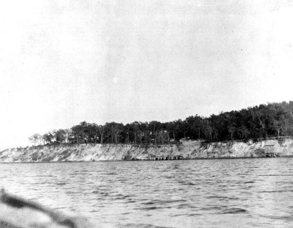 View of Saint Johns Bluff from the Saint Johns River