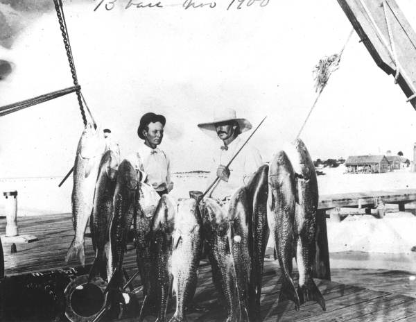 Fishermen with their catch of 13 bass fish - Mayport, Florida