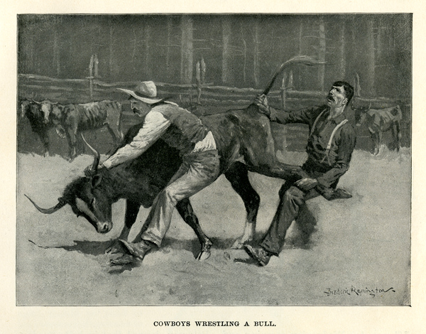 Cowboys wrestling a bull.