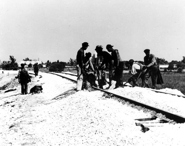 Florida East Coast Railway employees grading for railroad - Fort Pierce, Florida