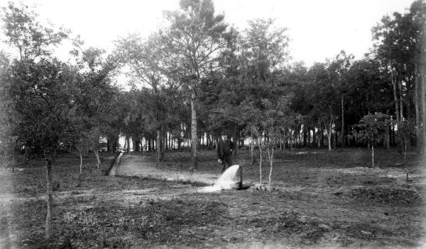 Artesian well at Lake Park - Sanford, Florida.