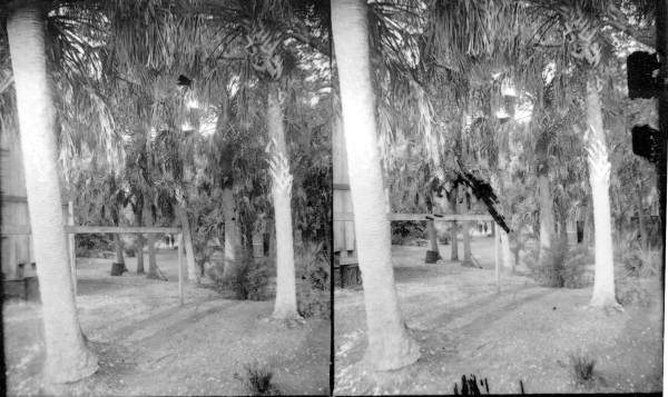 The Pinard homesite on Gulf Stream Avenue - Sarasota, Florida.