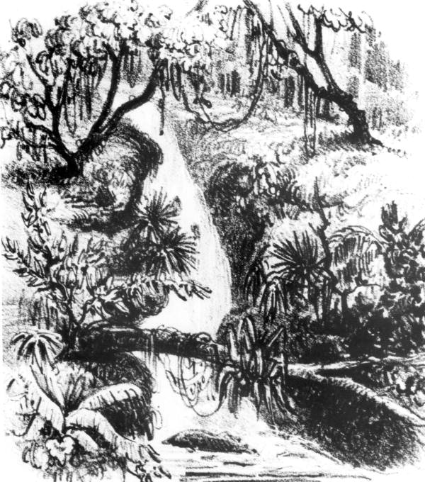 Drawing of "The Cascades" - Tallahassee, Florida.