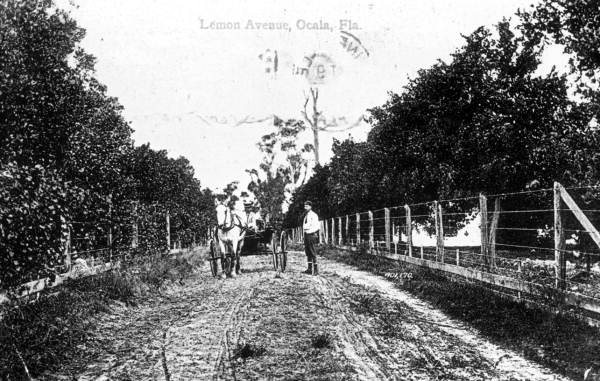 Lemon Avenue - Ocala, Florida.