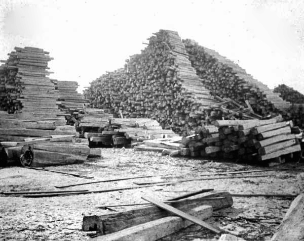 Stacked cedar posts in lumber yard at E. Faber's Cedar Mill - Cedar Key, Florida