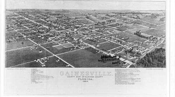 Lithograph of the county seat of Alachua County - Gainesville, Florida