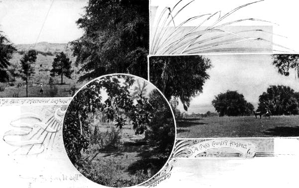 Photocollage of area views - Tallahassee, Florida.