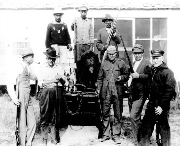 Results of a Wakulla County bear hunt