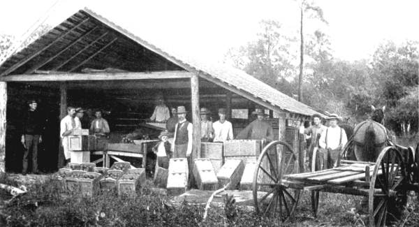Orange grove packing house