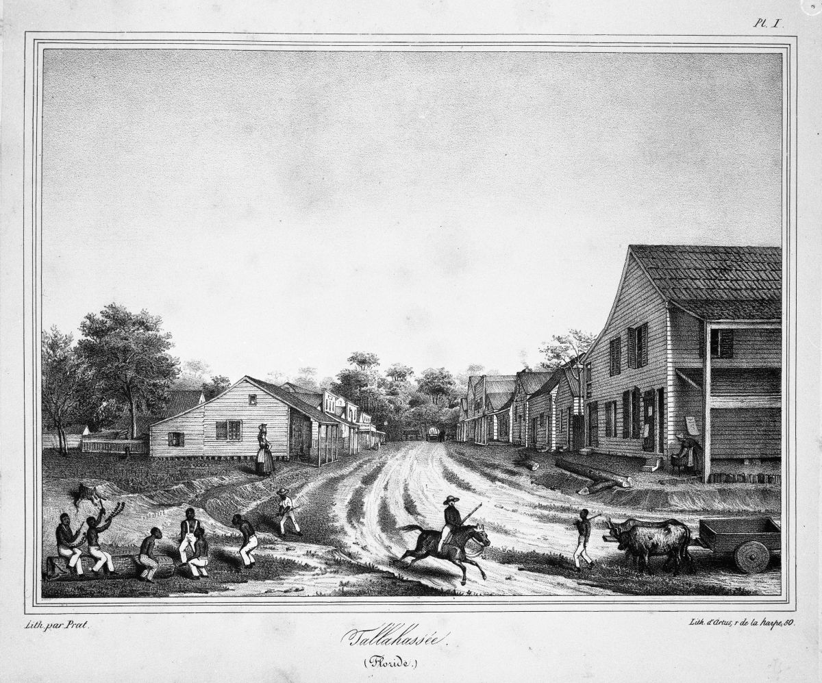 Print of a residential street scene - Tallahassee, Florida.