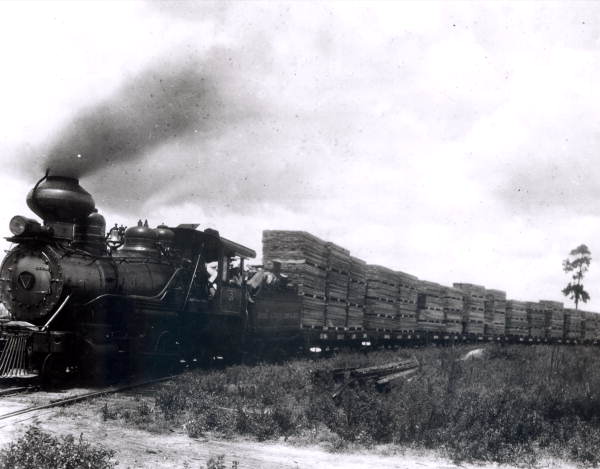 Brooks-Scanlon Corporation engine #3 transporting lumber - Perry, Florida