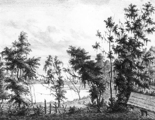 Lithograph of plantation on Lake Lafayette - Leon County, Florida