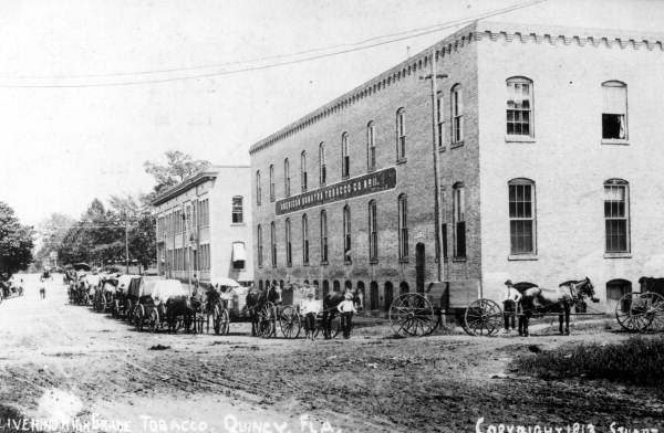 Florida Memory • Tobacco being delivered to American Sumatra Tobacco Company  packing house no.11