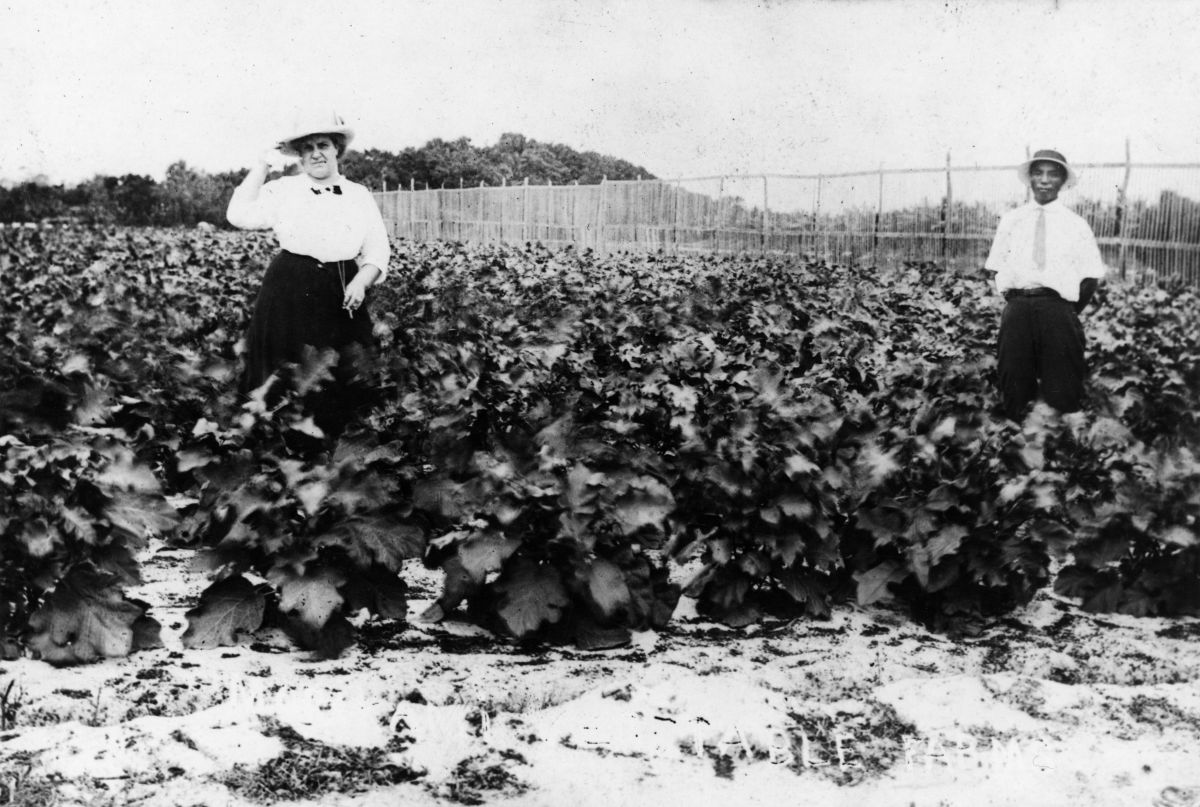 George Morikami on his farm - Yamato, Florida