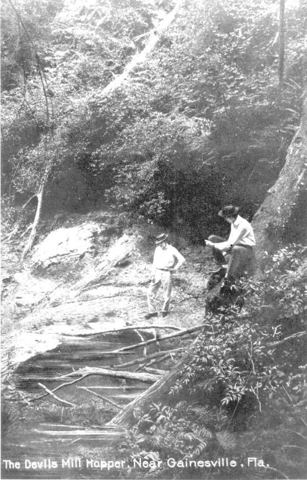 Devils Mill Hopper - Gainesville, Florida.