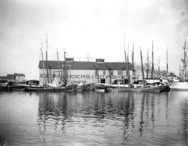 Saunders' fish company - Pensacola, Florida.