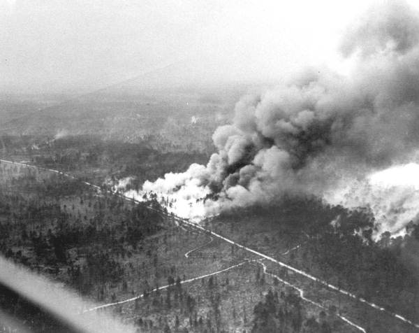 Impassable Bay fire of the Ocala National Forest