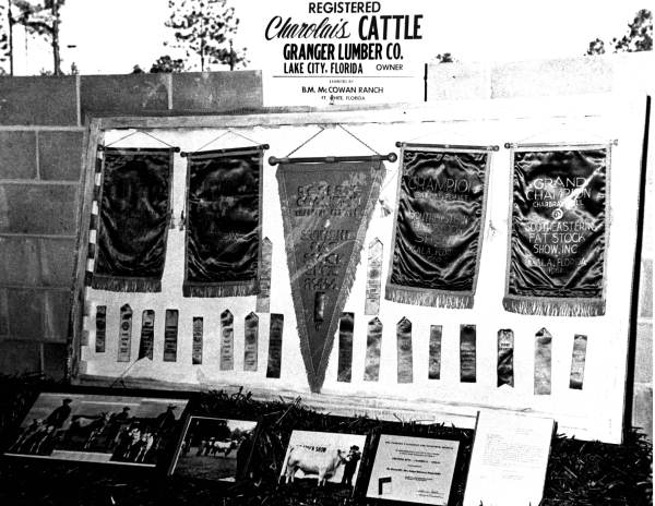 Granger Lumber Company's Charolais cattle awards - Lake City, Florida