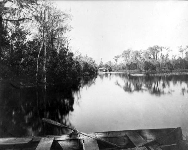 Looking across Silver Springs at steamboat - Ocala, Florida