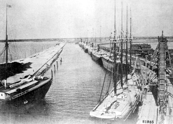 U.S. Army transports at Port Tampa during the Spanish-American war.